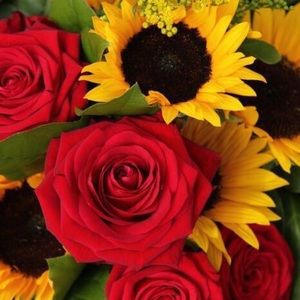 Meet your Posher, Georgia